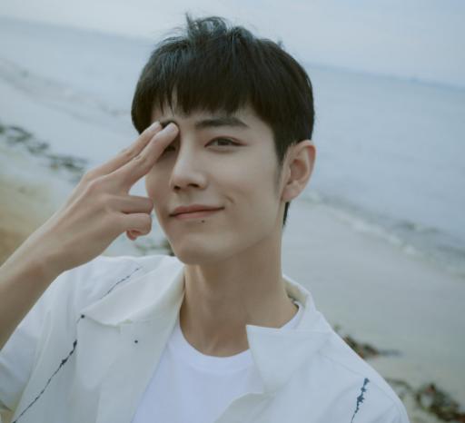 肖战|30岁肖战仍然单身,这么帅却不结婚,不怕错过最佳生育年龄?