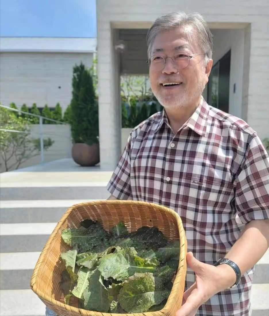 文在寅退休才一个月就老这么多?胡子头发都白了,看着像老了10岁