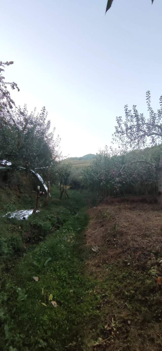 昭通|重走来时的路！云南昭通乐居镇周家口子村散步记