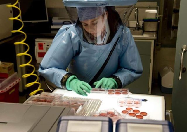 必须赴美调查!权威专家:病毒可能来自美国生物实验室