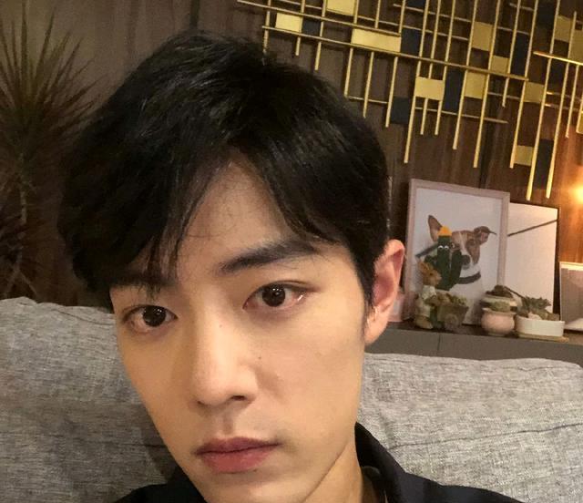 肖战|肖战发文梦回19年:除了感动还是感动!