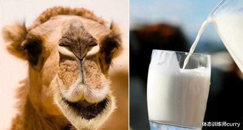 牛肉|牛肉壮身体?提醒:人到中年,别舍不得吃,5种食物易消化有营养