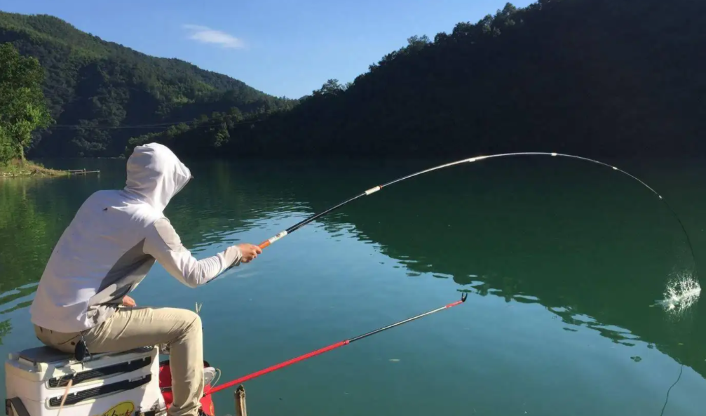 |犯钓瘾, 早起钓鱼, 发现门前的小河各种捕鱼高手云集, 鱼生真的不易!