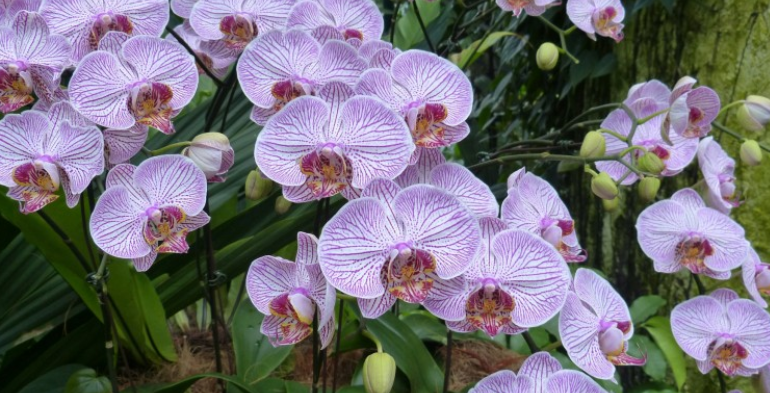 |终究还是被家人催工作了，我忍受不了职场的种种