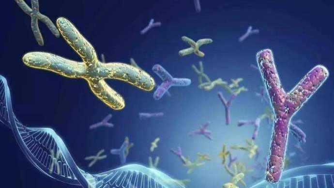 地球上的生物为什么要进化出死亡？长生不老不好？原来是基因有问题