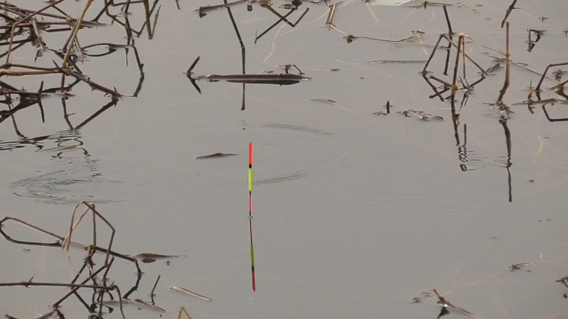 |春季钓鱼需要注意简单四点,下一个“爆护”的就是你