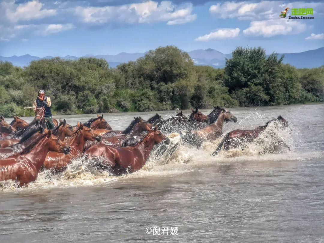 旅行|退休女教师单人单车在路上，美景应接不暇，忙得忘记了孤单