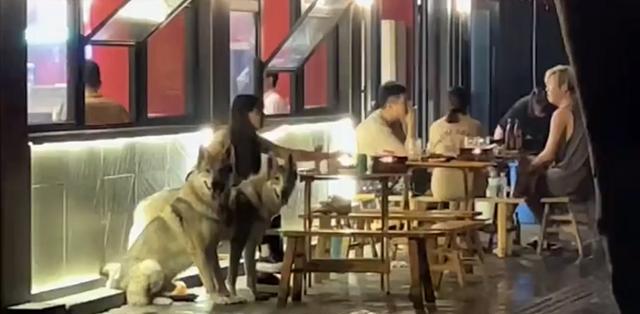 四川一女子“火了”,深夜带俩“保镖”吃烧烤,只为防“陈继志”