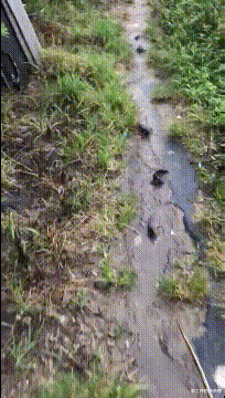 职业教育|“去领导办公室，看不懂的书法不要乱读，更不能笑！除非忍不住...”