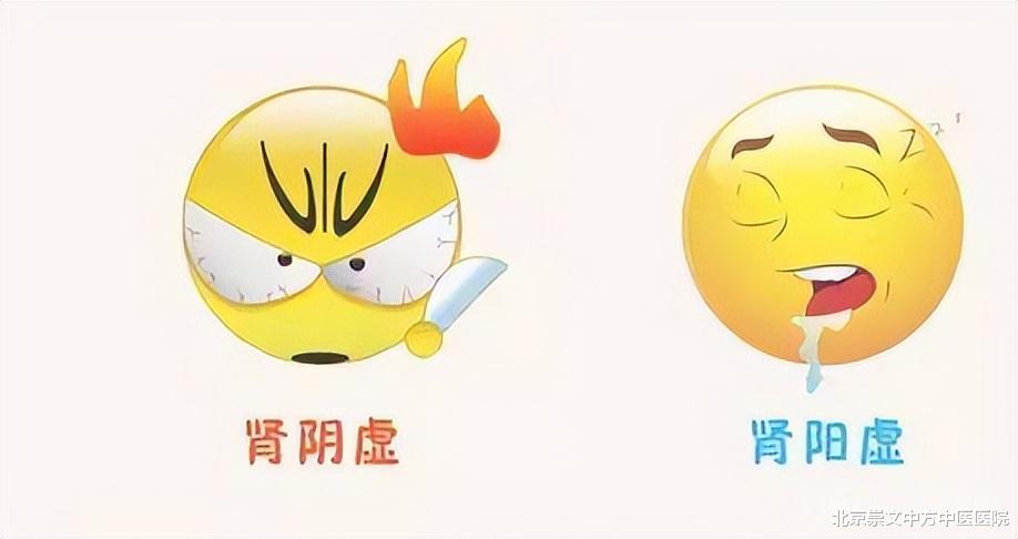 肾阴虚|肾阴虚和肾阳虚，食物和补药也不同，别不当回事