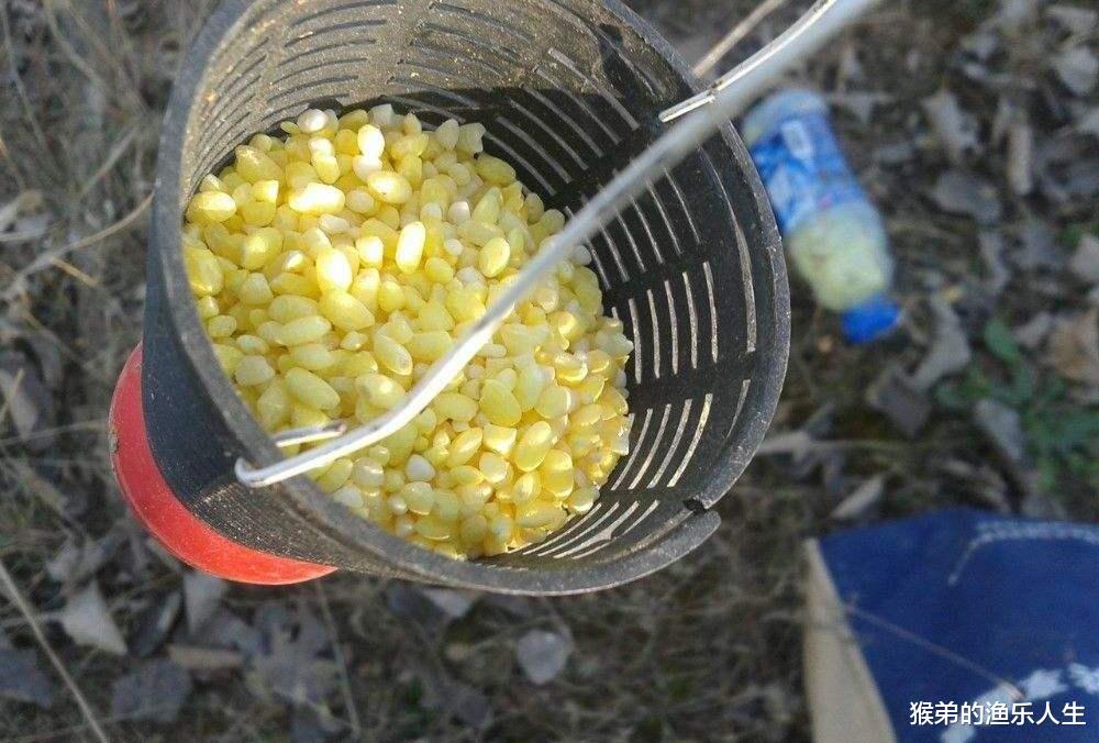 饵料|夏季野钓的五大改变，和春季完全不同，学会你也可以连竿上鱼