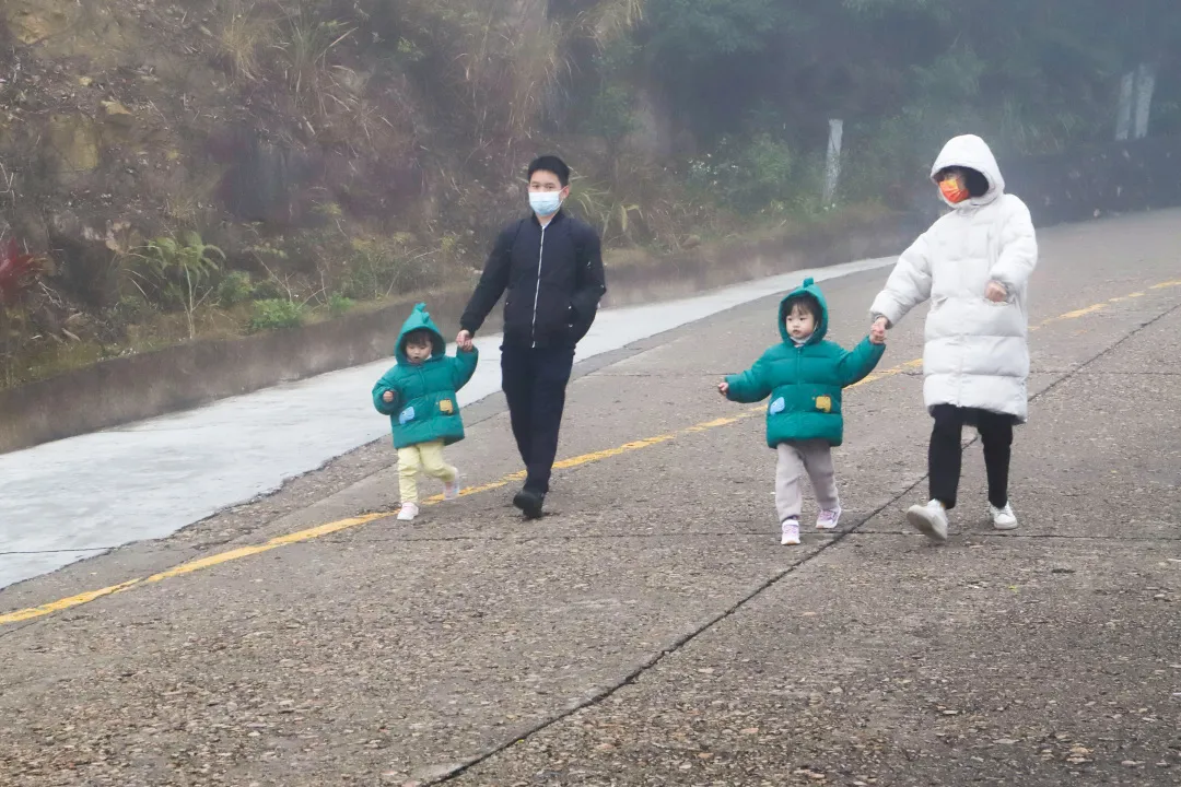 玫瑰|春节假期人气火爆，观音山成为登高许愿网红地！秘诀是…