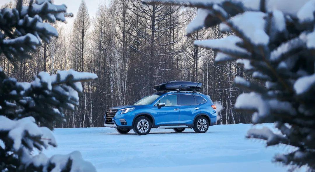 涨停|《雪国的森林》纪录片以外的故事:敖鲁古雅使鹿部落