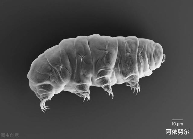1亿年前和恐龙同时代的生物,被成功复活,科学家:不可思议