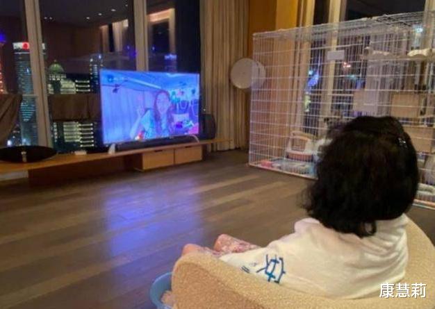 蔡少芬|蔡少芬一家被曝已搬回香港，上海300平豪宅急租售，原因为何？