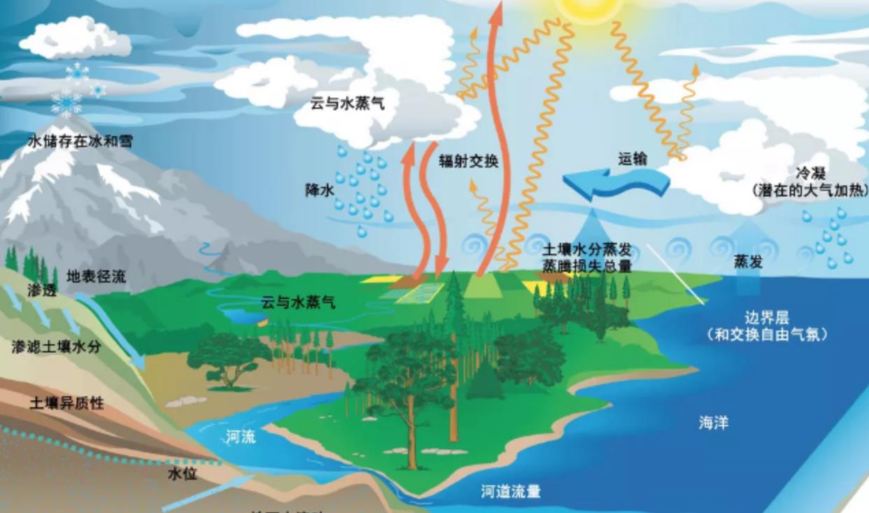 所有沙漠若都变成了森林,会如何?科学家:代价恐难以承受