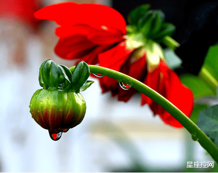 |啥日子出生的人，家中人人有喜，出门在外有富足之气，添禄加寿