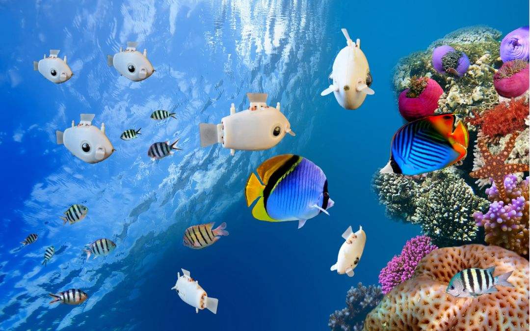 机器人|尽管已经开发了受鱼启发的机器人，但它们仍无法准确地模仿鱼的运动模式