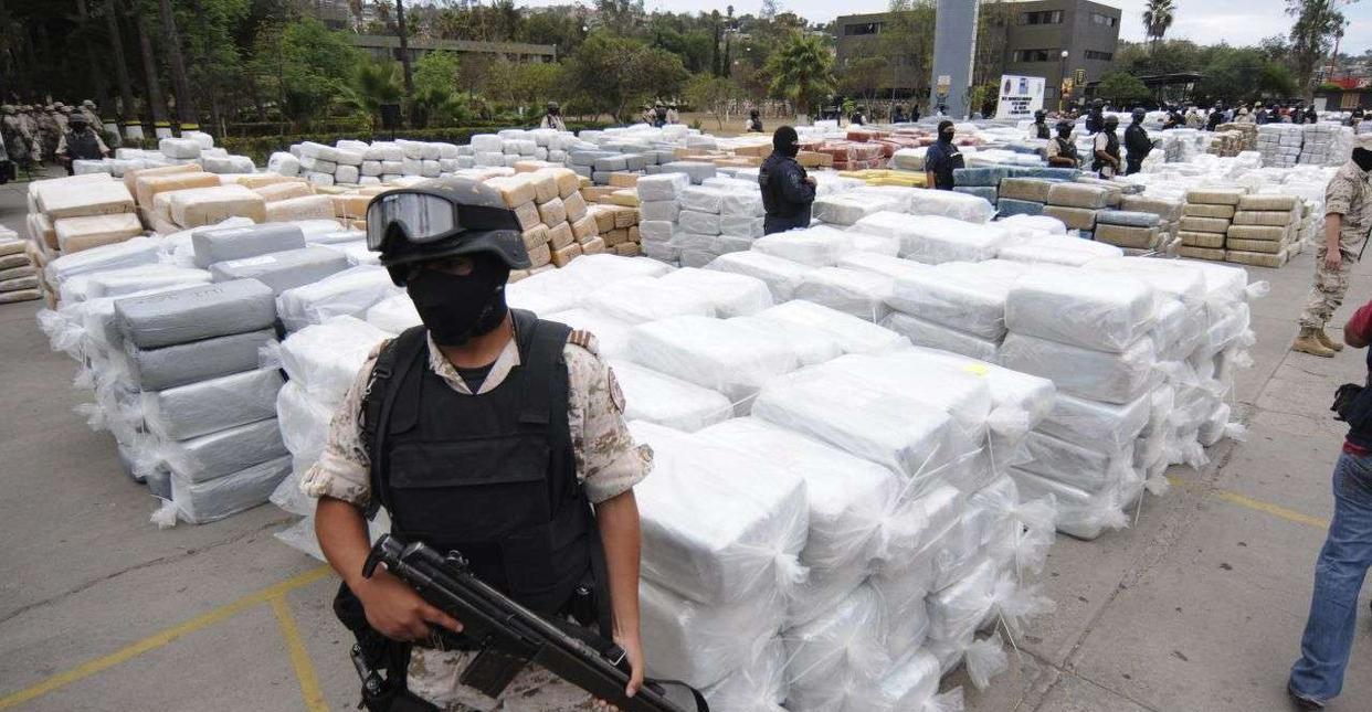 黑熊吞食大量毒品抓狂惨死,附近还有一架坠机?背后缘由简直离奇