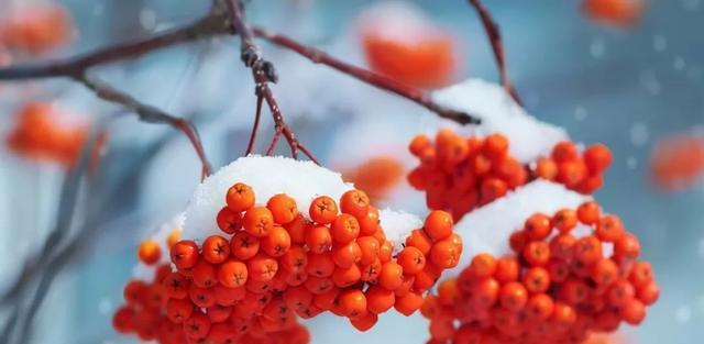 虎年拍雪不马虎,五个摄影技巧,把雪景照片拍得更漂亮