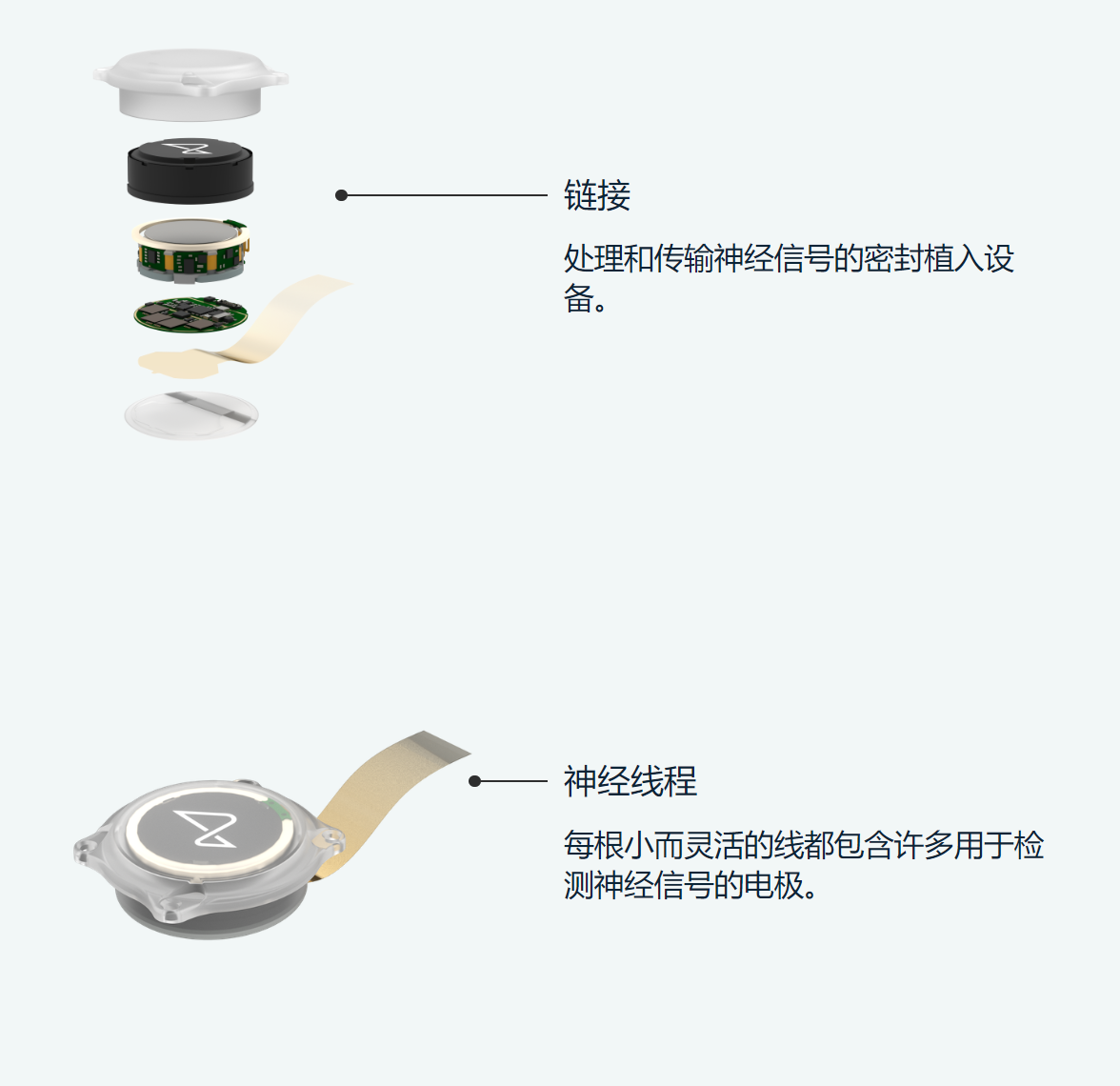 伊隆·马斯克|黑客帝国重现？马斯克脑机公司将开展人体试验：有点疯狂