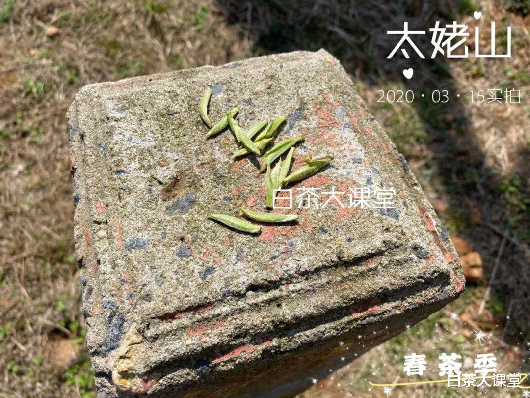 |白毫银针泡出来又苦又涩，是哪方面问题？老茶客详解背后真相