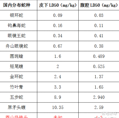 莽山|毒蛇界的顶级流量明星,上过央视,卖出天价——莽山烙铁头