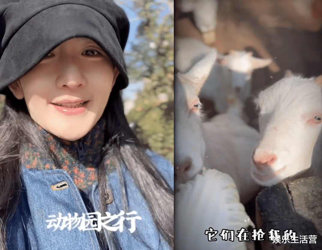 谢娜|谢娜带3女儿逛动物园,轮流背娃,颜值遭群嘲:歪下巴老太太