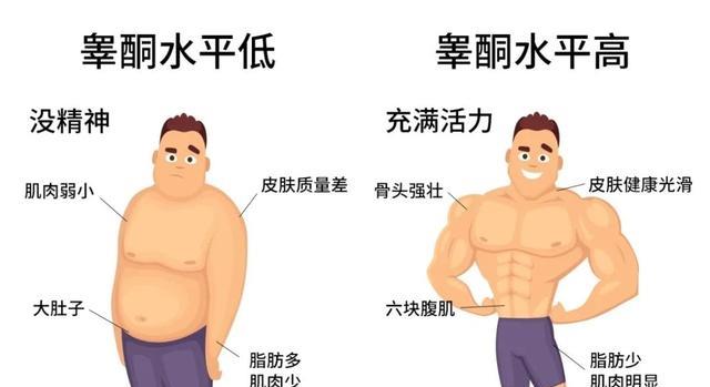 科学家发现雄绵羊长寿秘诀,或适用于人类,但可能没有男性接受