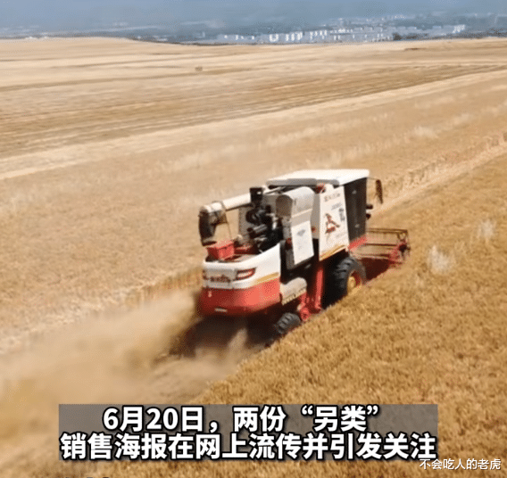 郑州|河南：俩楼盘小麦和大蒜可抵购房款，销售已经成交30余套，种地的老百姓有福了