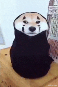 “在老家盖的房子已经完工了,可总觉得哪里不对劲...”这阳台