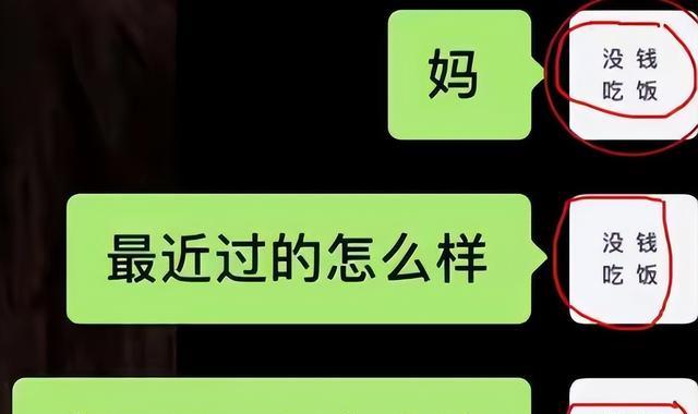 要生活费还带砍价的？大学生晒和家长聊天记录，果然姜还是老的辣