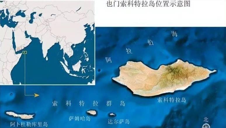 与大陆隔绝1800万年的小岛,诸多濒临灭绝动物,都出现于此!