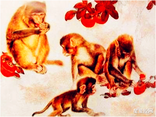 凯文·杜兰特|2月底在事业上取得成就,收入倍增的四个生肖,有缘做贵人