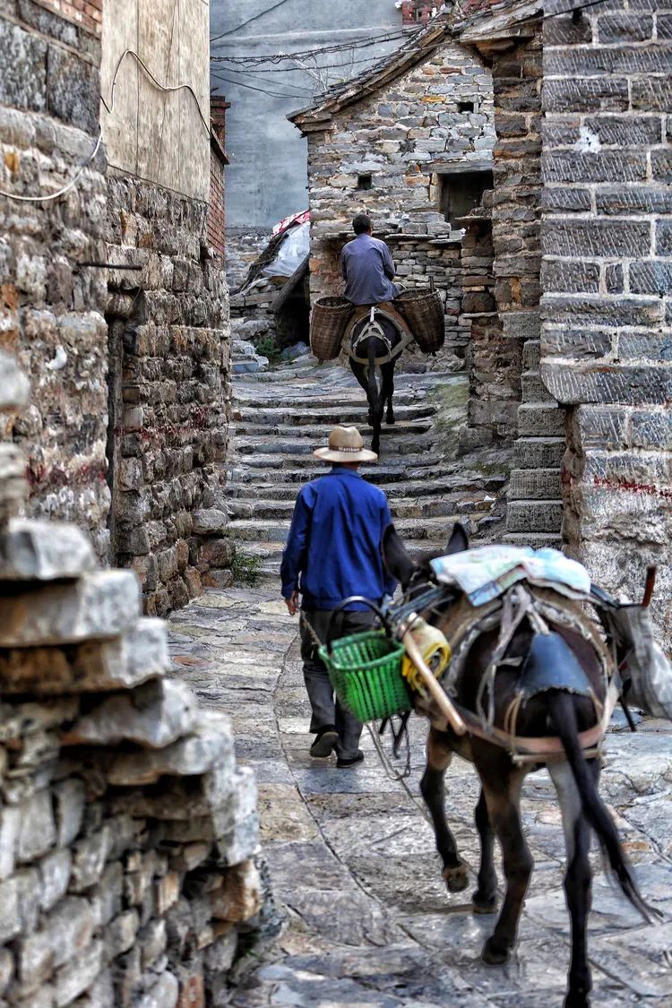 |“驮在驴背上的村庄”——王金庄