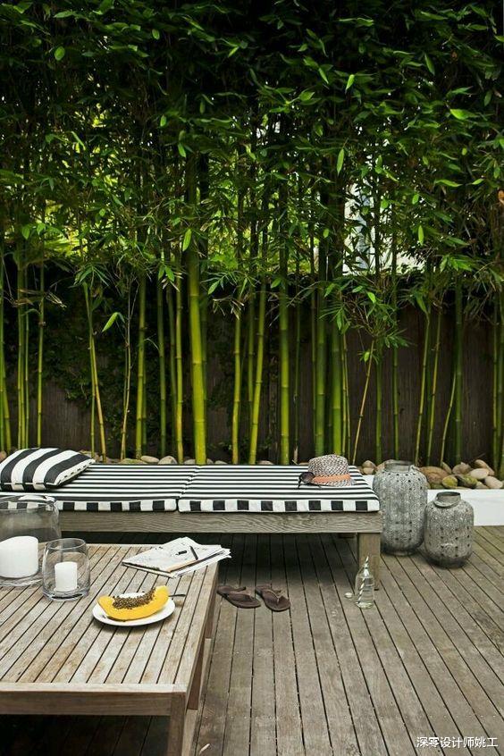 咱大中国的竹子就是招人稀罕!种一排形成院墙做隔断,打造古香古韵空间