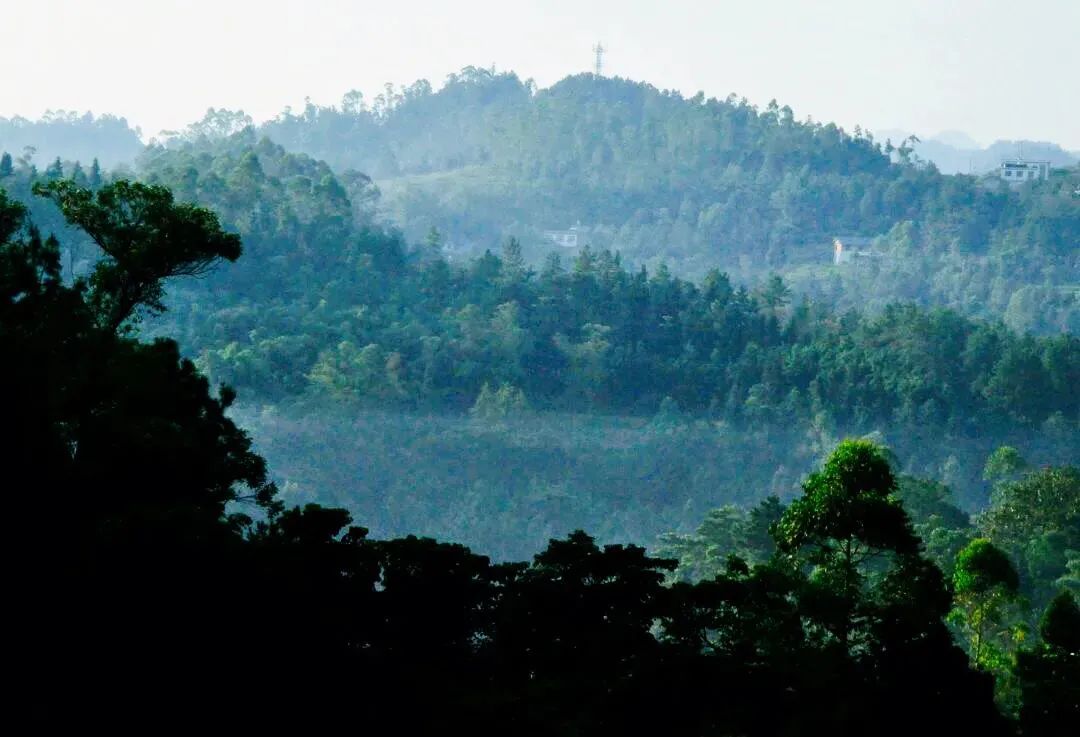 |创建天府旅游名县，避暑有“凉”方！仁寿竟藏着20度的夏天