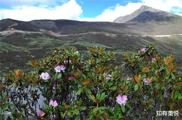 施甸|六月，到这8个地方走走，去过一个五彩斑斓，不似人间的夏天吧！