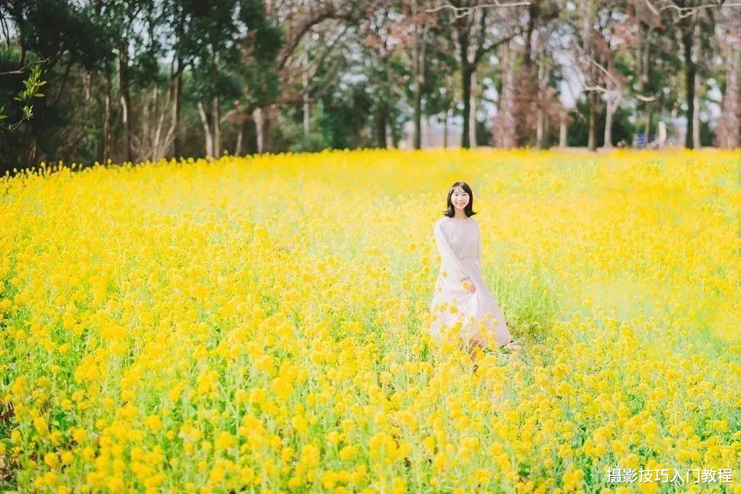 摄影技巧：春季油菜花拍照全攻略，真是太美了