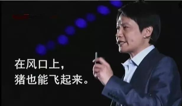 阿里巴巴|招商团长是站在轻投资创业风口的一头“猪”