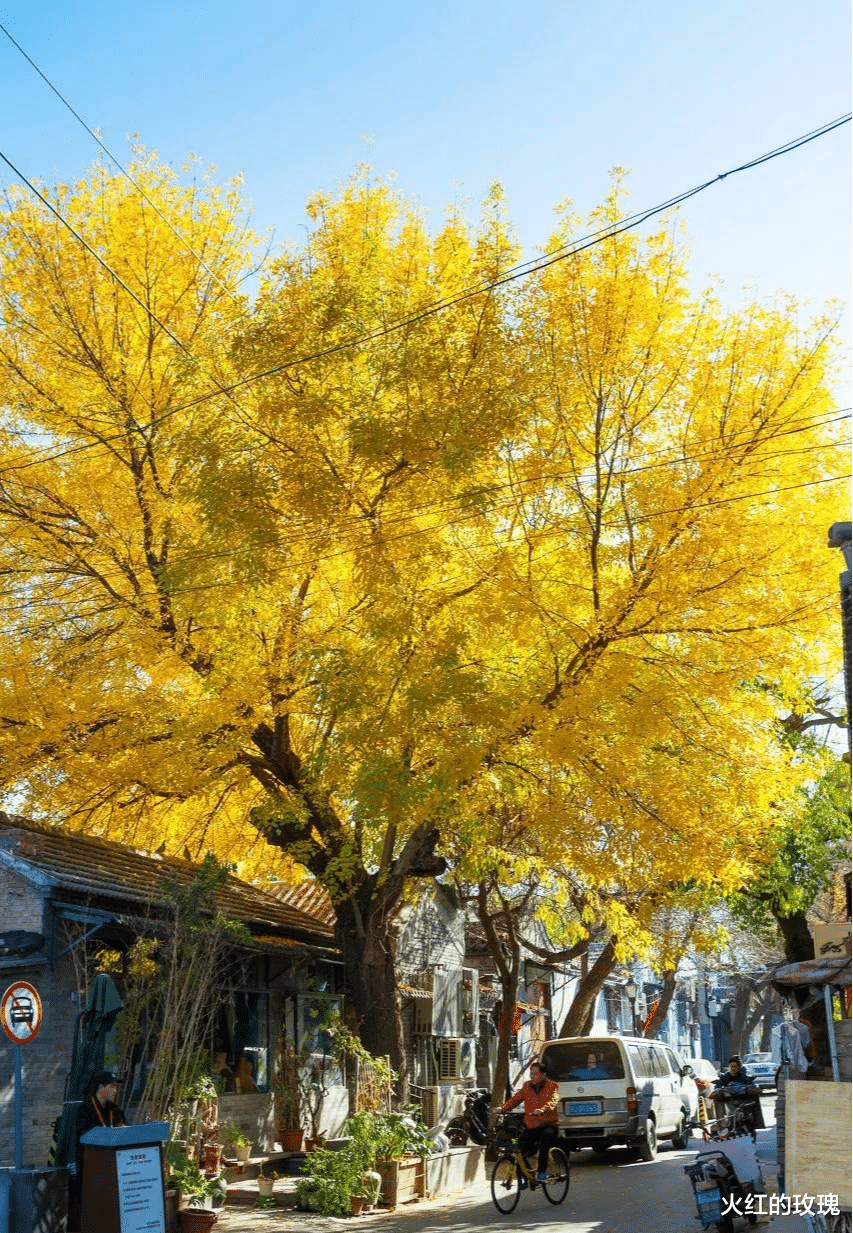 杭州|中国秋天最美的8座古都，好想和ta一起去漫步~