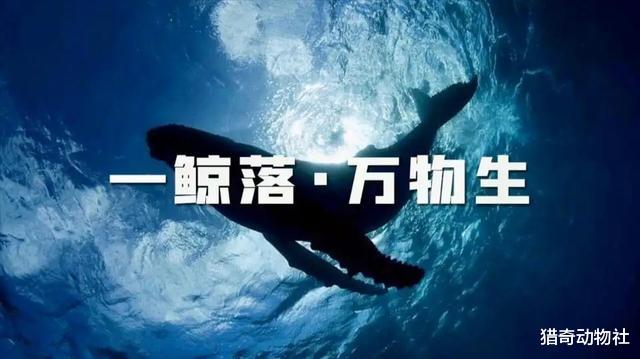|“死鱼正口，收竿就走”有没有科学依据？