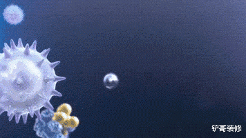 入住半年,感谢这5个家居好物,花钱少还实用,太实用了!