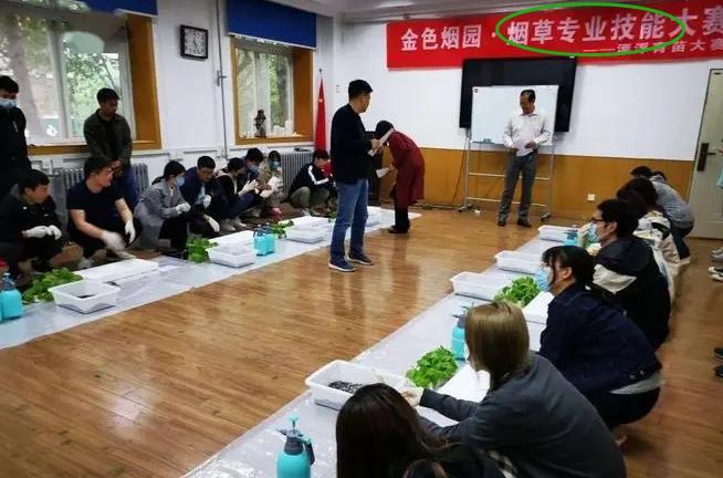 杨幂|情侣双双入职烟草公司,发出的薪资明细让人羡慕,年终奖属实可观