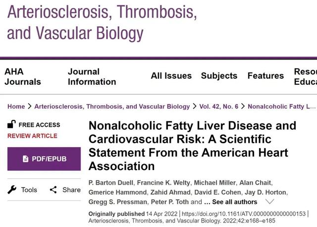 脂肪肝|脂肪肝怎么连累心血管的?有这6种表现要查肝功