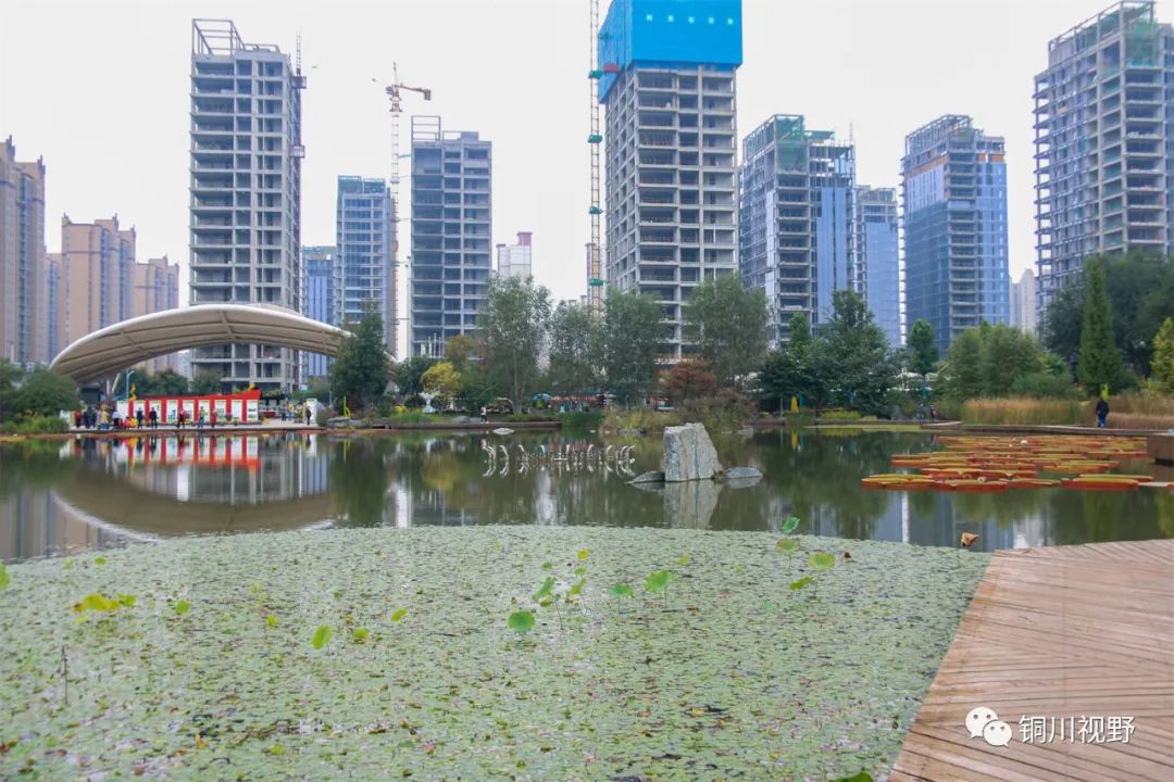 美丽|美丽的西安植物园【摄影铜川魏梅霞】