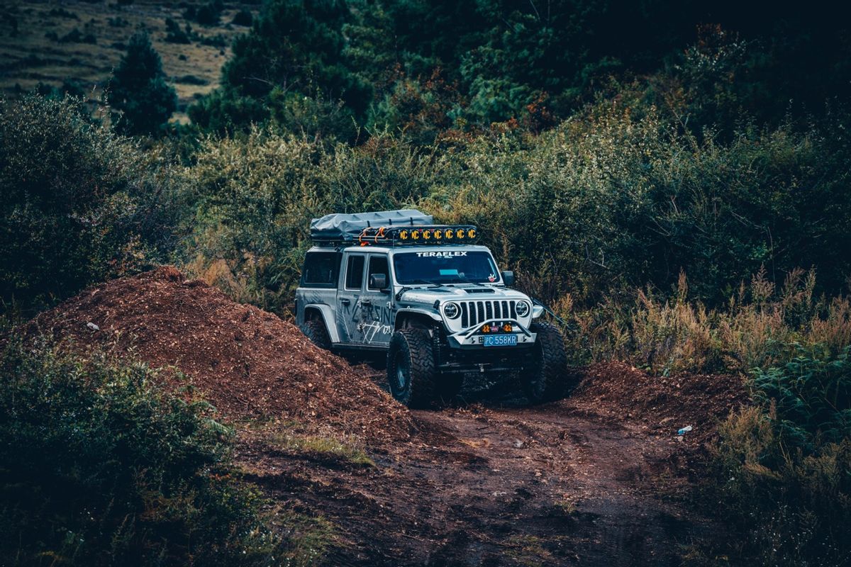 银杏树|极致撒野,滇西沉浸式自驾白皮书