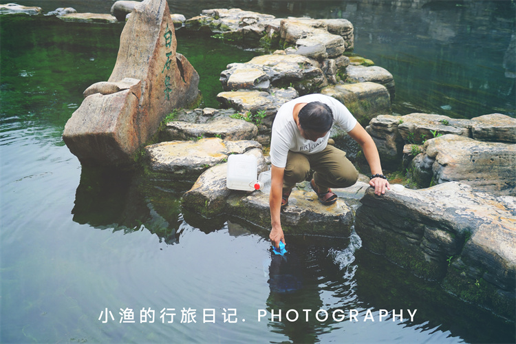 荷花|这座泡在泉水里的省会城市，低调且优雅！满城美景，来了就难忘记