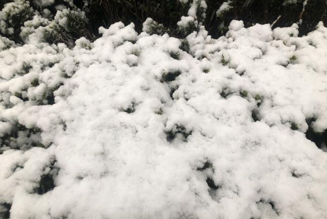 今年大雪节气是“癸甲之交,亥子之交”,别忘了“吃三宝”,是啥