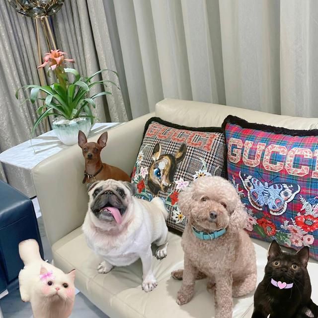 孙艺珍|赵露思晒日常生活,圈粉无数!全屋不豪华,但却温馨精致,超舒服